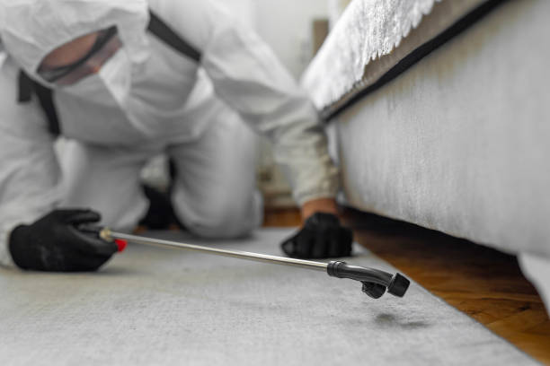 Professional Bed Bug Control technician working in Joliet, IL