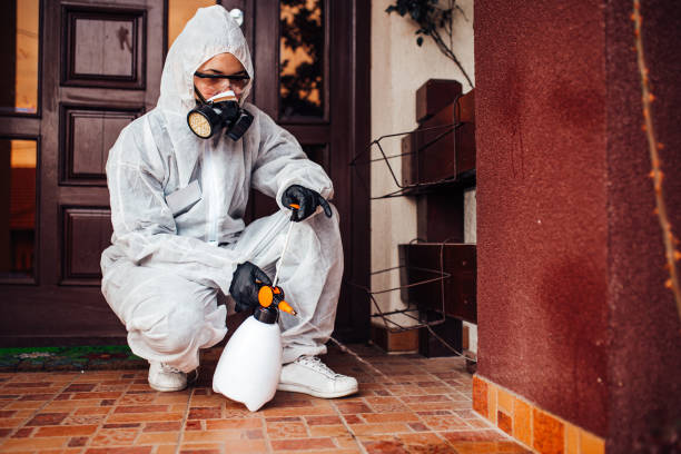 Reliable Bed Bug Control contractor in Joliet, IL by Nex Pest Control